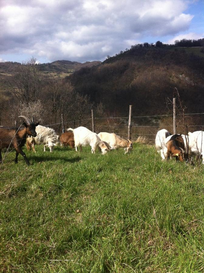 Agriturismo Il Covo Del Solengo Valtopina Exterior photo