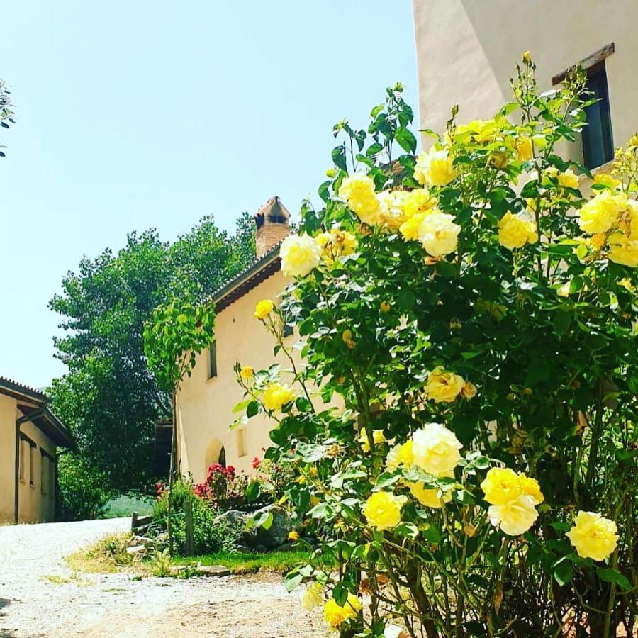 Agriturismo Il Covo Del Solengo Valtopina Exterior photo